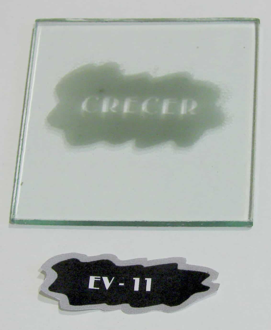 EV - 11