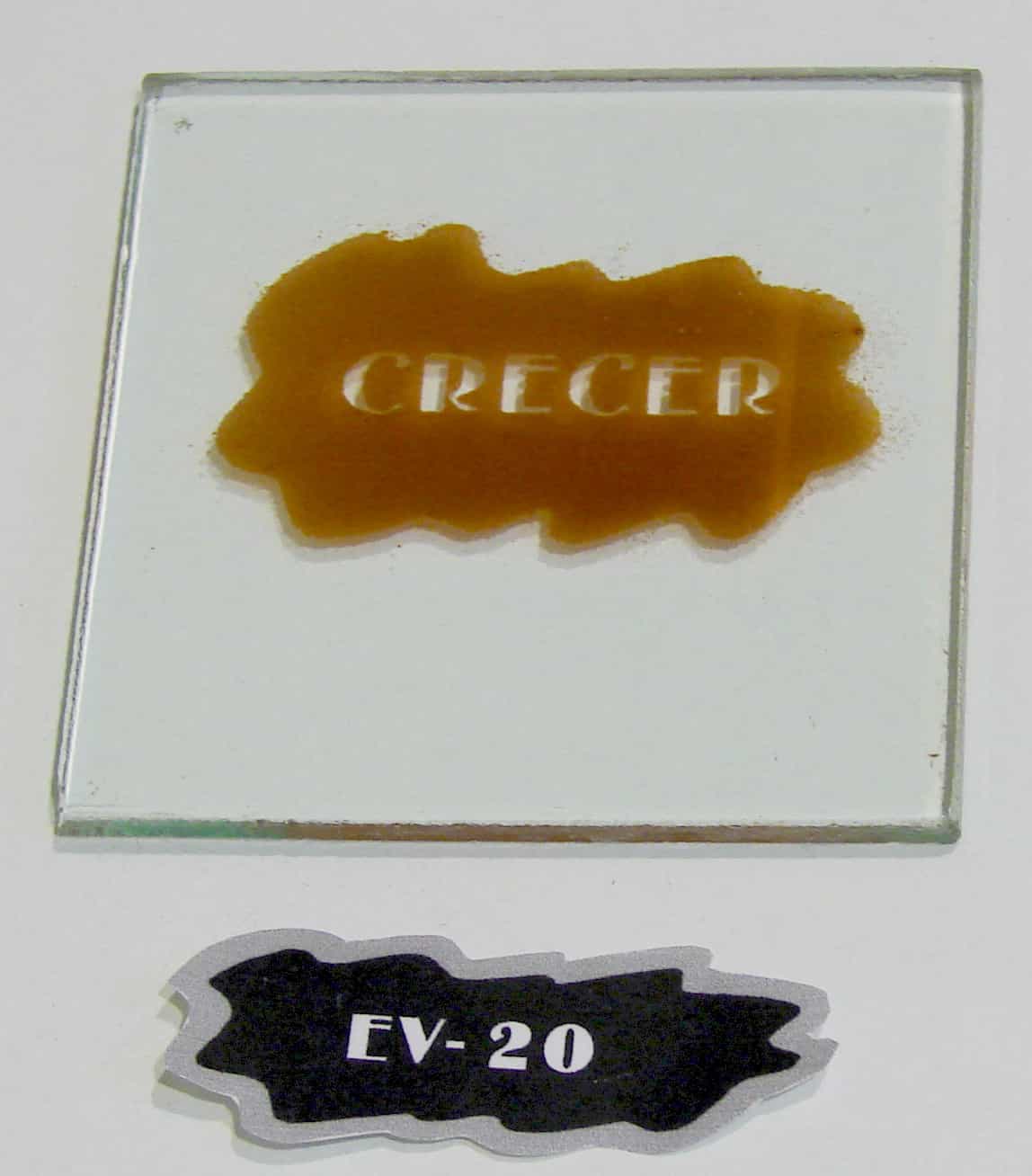 EV - 20