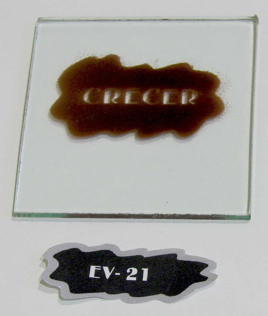 EV - 21
