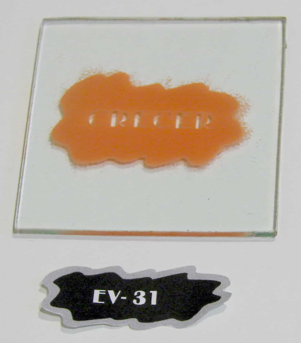 EV - 31
