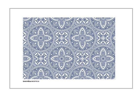 Moroco Azul - PTMA1 - Imagen 1