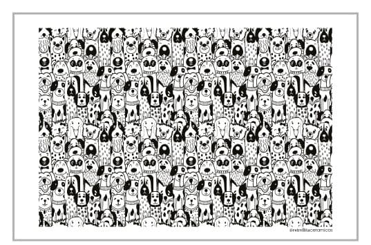 Perros - PTPERN1 - Imagen 1