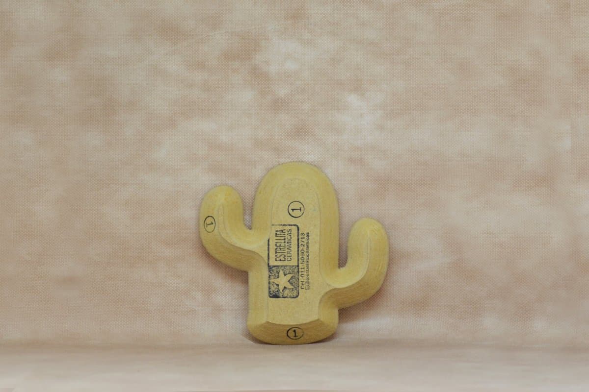 Cactus 1 - Imagen 1