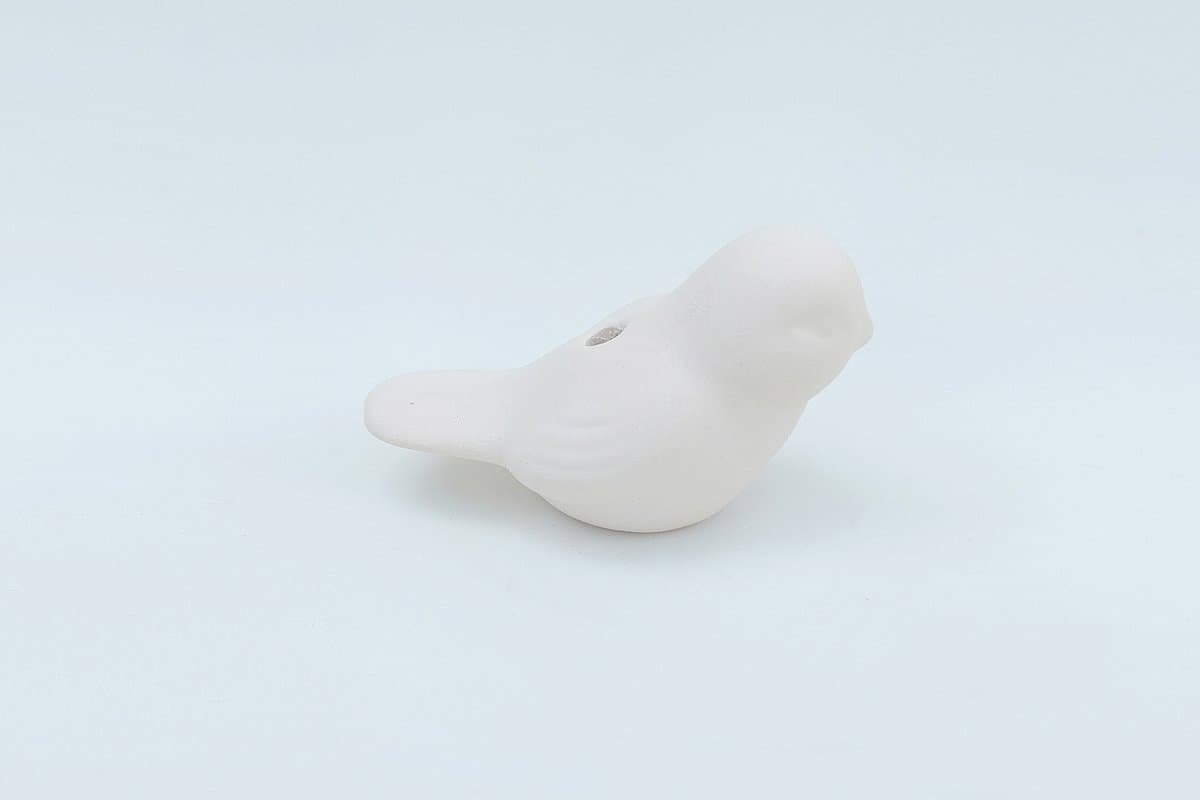 Pajarito A (M39) - Imagen 1