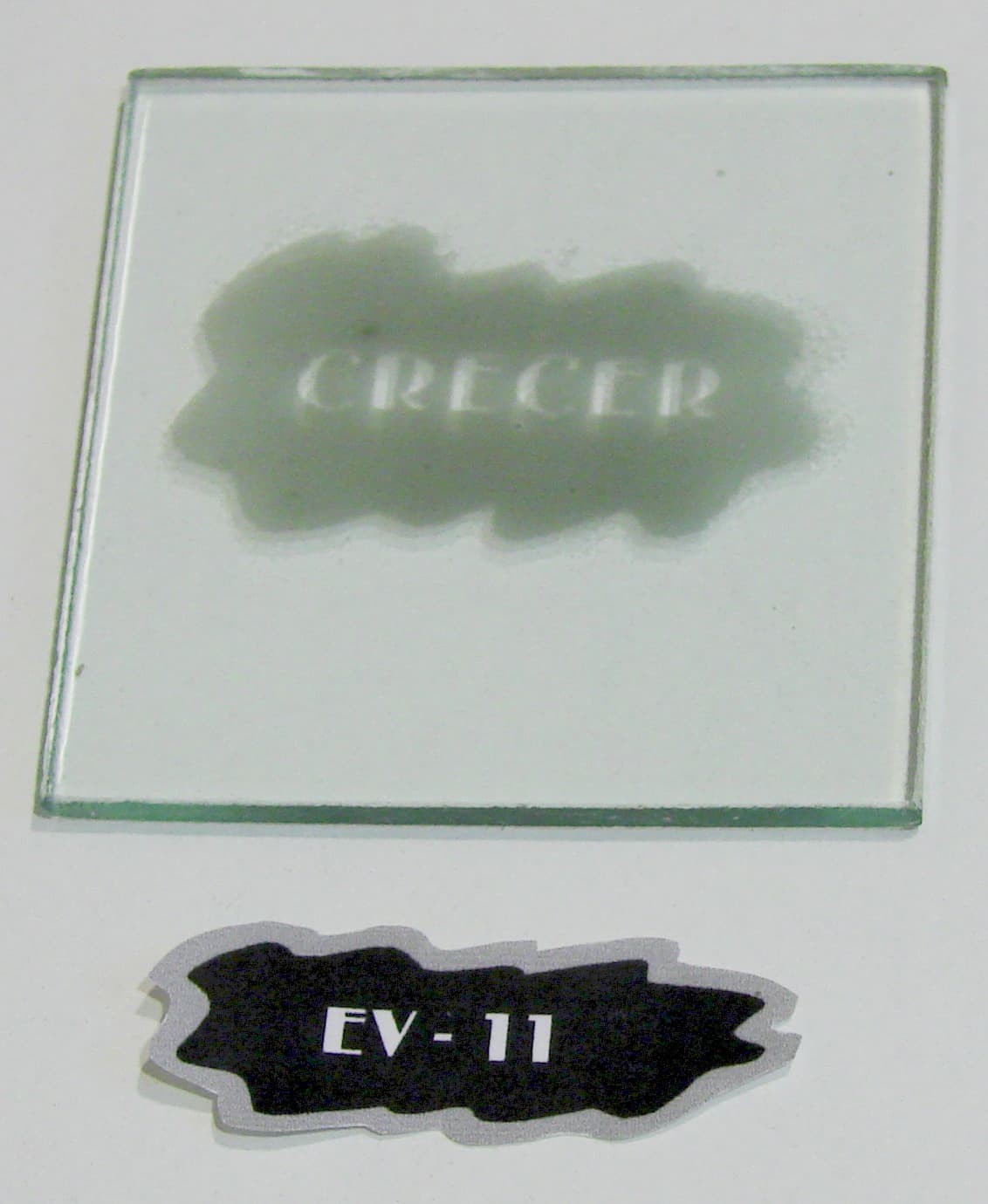 EV - 11 - Imagen 1
