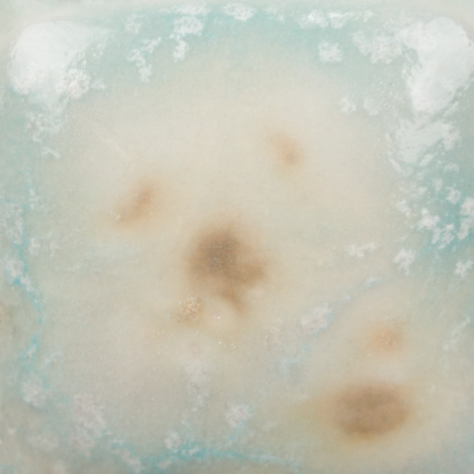 CG997P - Seafoam - Pint - Imagen 3