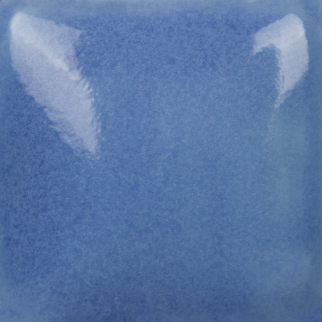 FN031P - Corn Flower Blue - Pint - Imagen 3