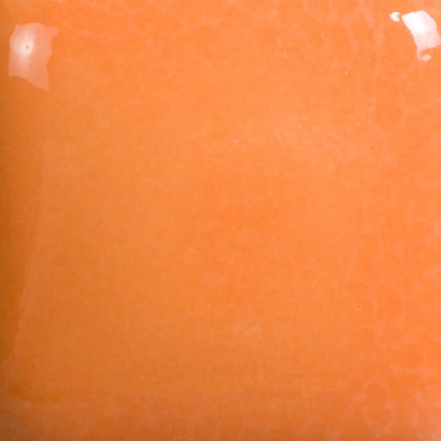 FN040P - Pumpkin - Pint - Imagen 2
