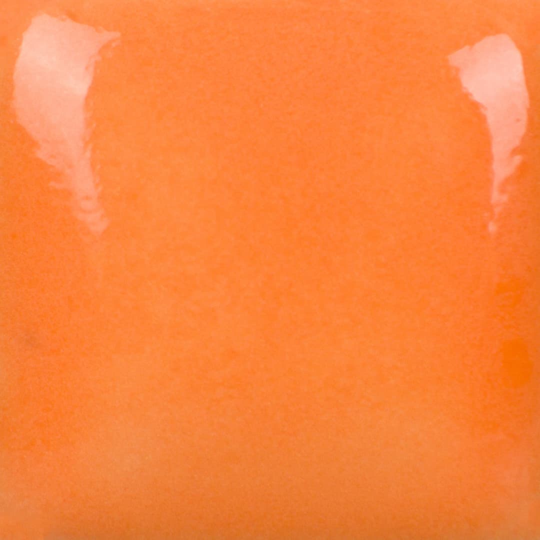 FN040P - Pumpkin - Pint - Imagen 3