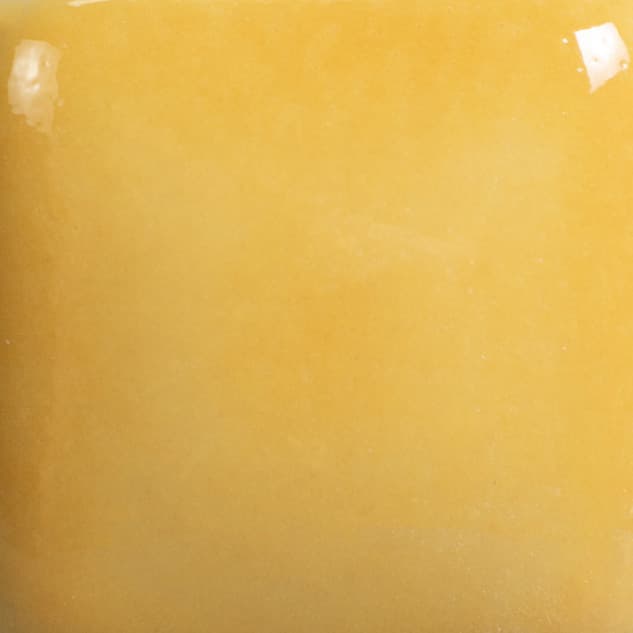 FN044P - Yellow-Orange - Pint - Imagen 2