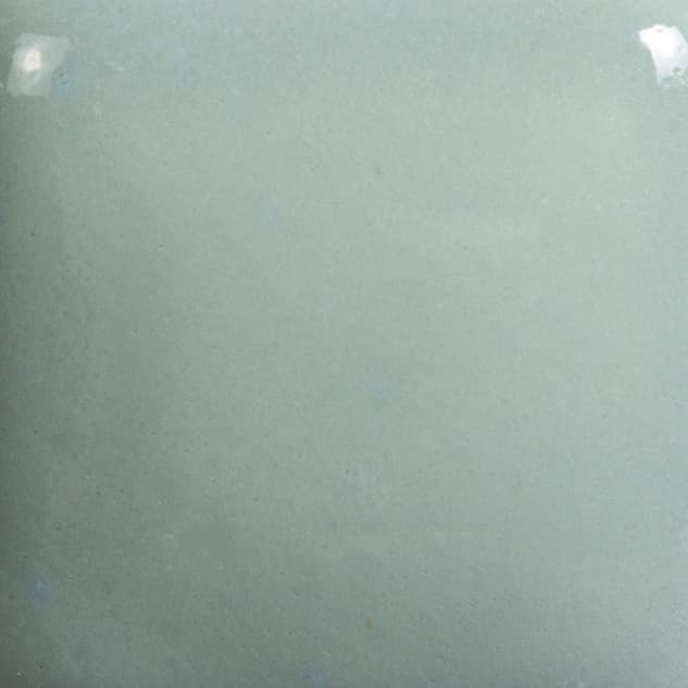 FN046P - Sage - Pint - Imagen 2