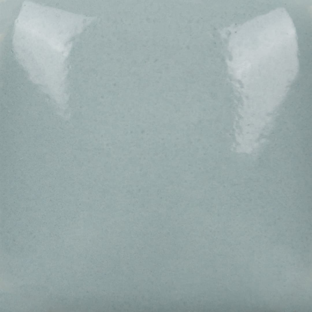 FN046P - Sage - Pint - Imagen 3