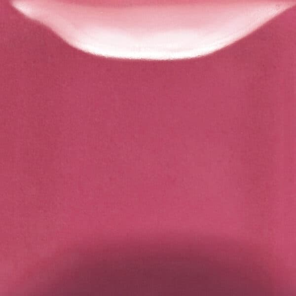 FN055P - Bubblegum - Pint - Imagen 1
