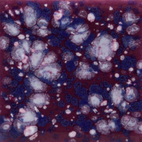 S2704P - Plum Jelly - Pint - Imagen 1