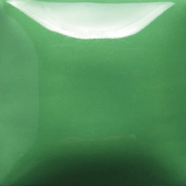 SC0078 - Leapin’ Lizard - 8 oz - Imagen 1