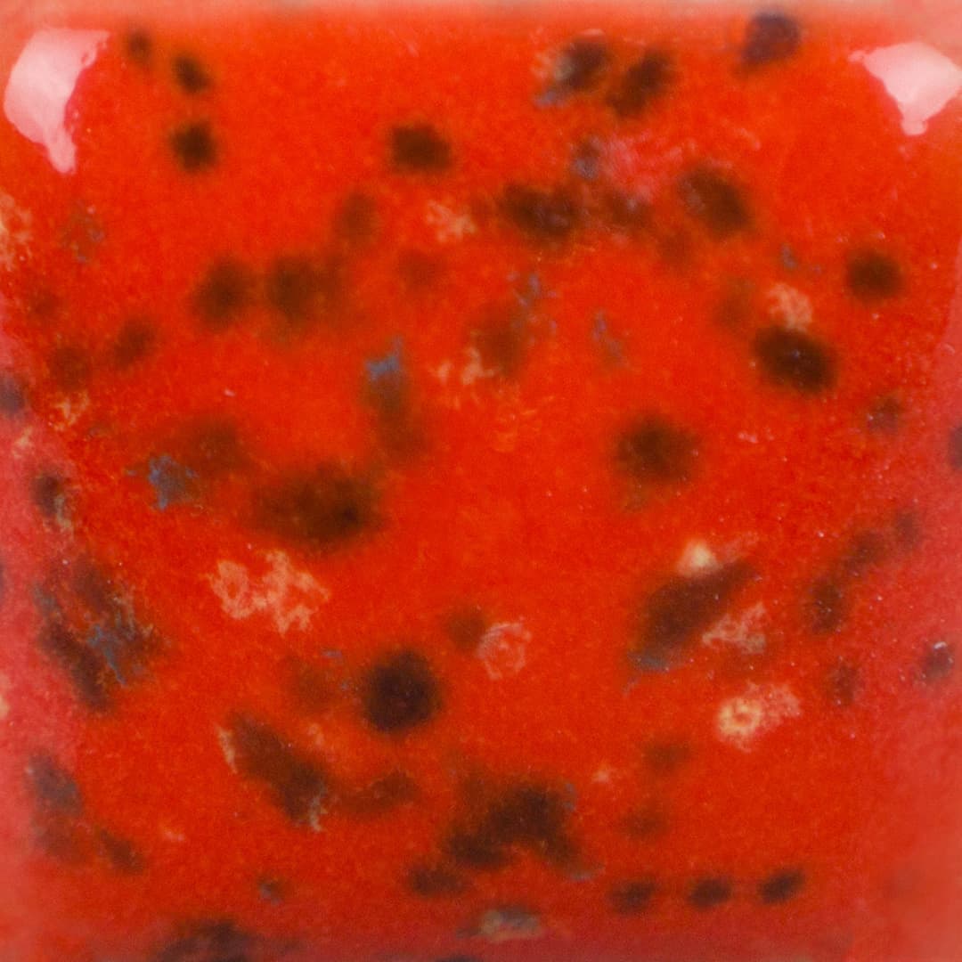 SP288P - Speckled Tu Tu Tango - Pint - Imagen 3