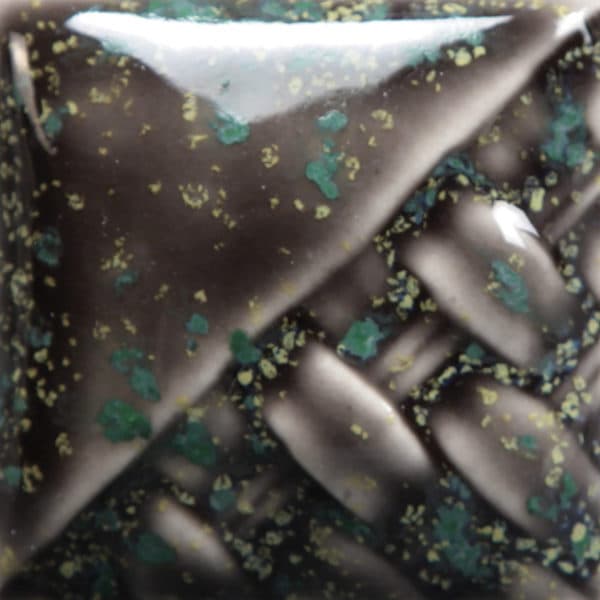 SW171P - Enchanted Forest - Pint - Imagen 1