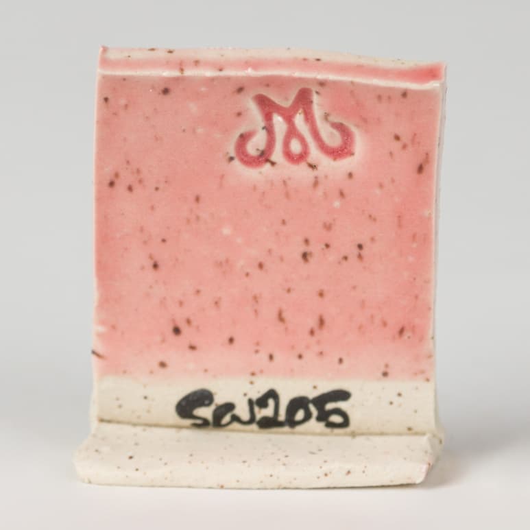 SW205P - Coral - Pint - Imagen 3