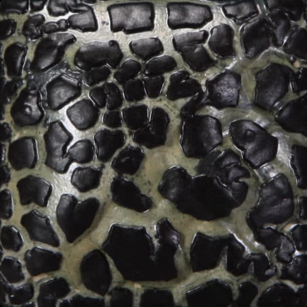 SW404P - Black Mudcrack - Pint - Imagen 1