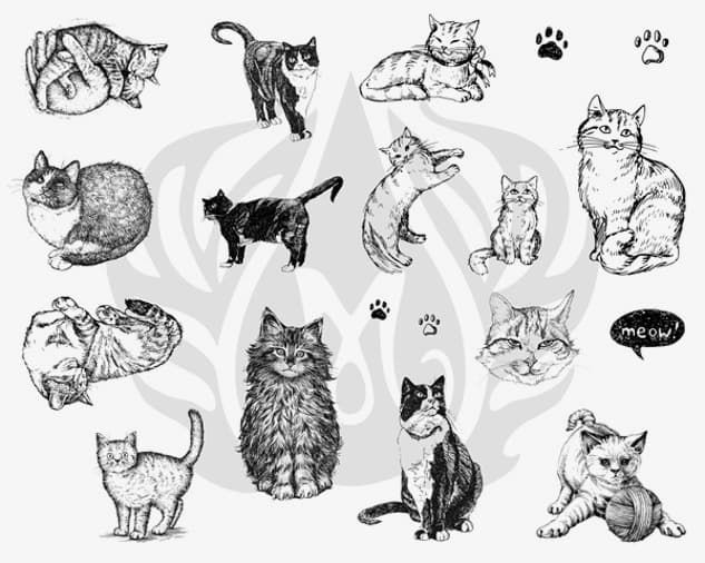 DSS0120 - Designer Silkscreen Cats - Imagen 1