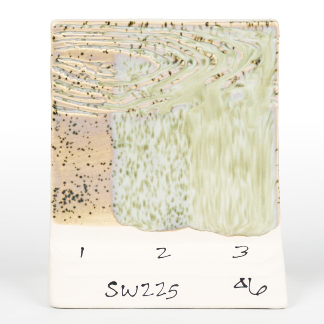 SW225P - Lily Pad - Pint - Imagen 10