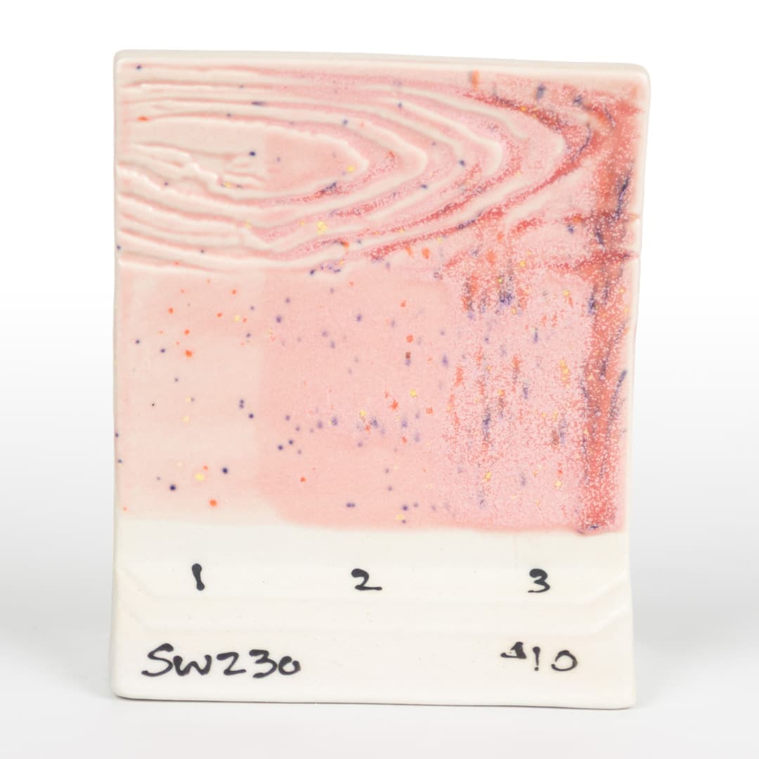 SW230P - Pink Speck - Pint - Imagen 11