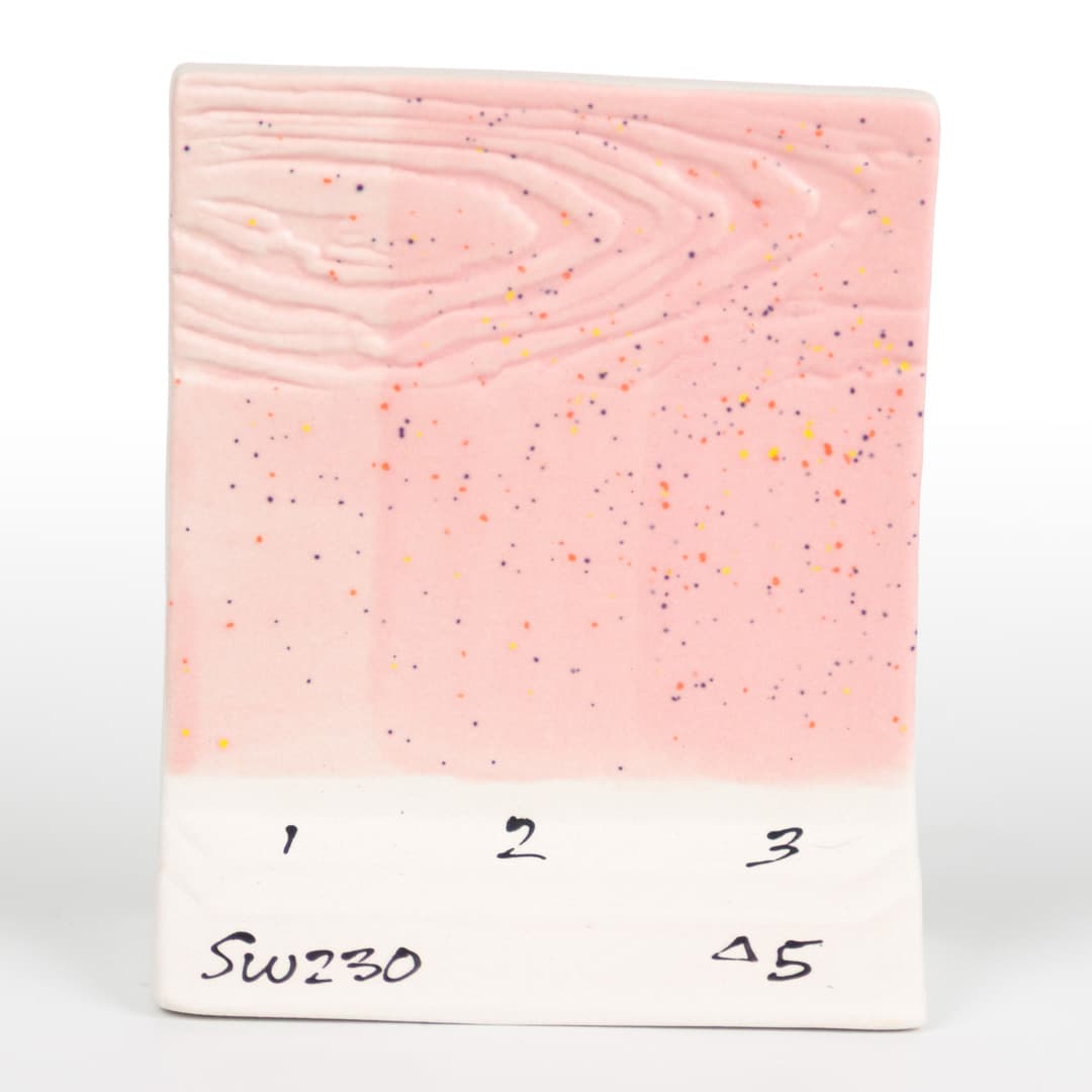 SW230P - Pink Speck - Pint - Imagen 9