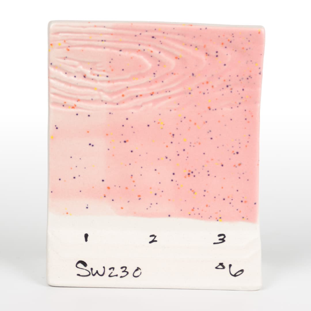 SW230P - Pink Speck - Pint - Imagen 10