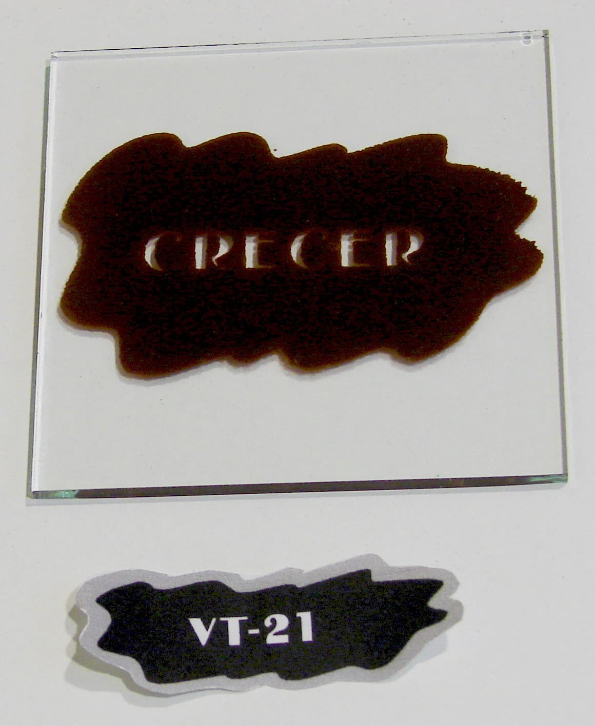 VT - 21 - Imagen 1