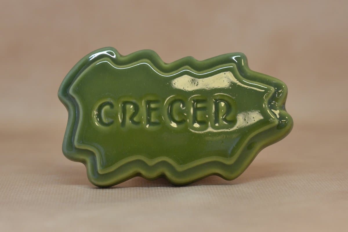 1008 (2672/1) - Imagen 1