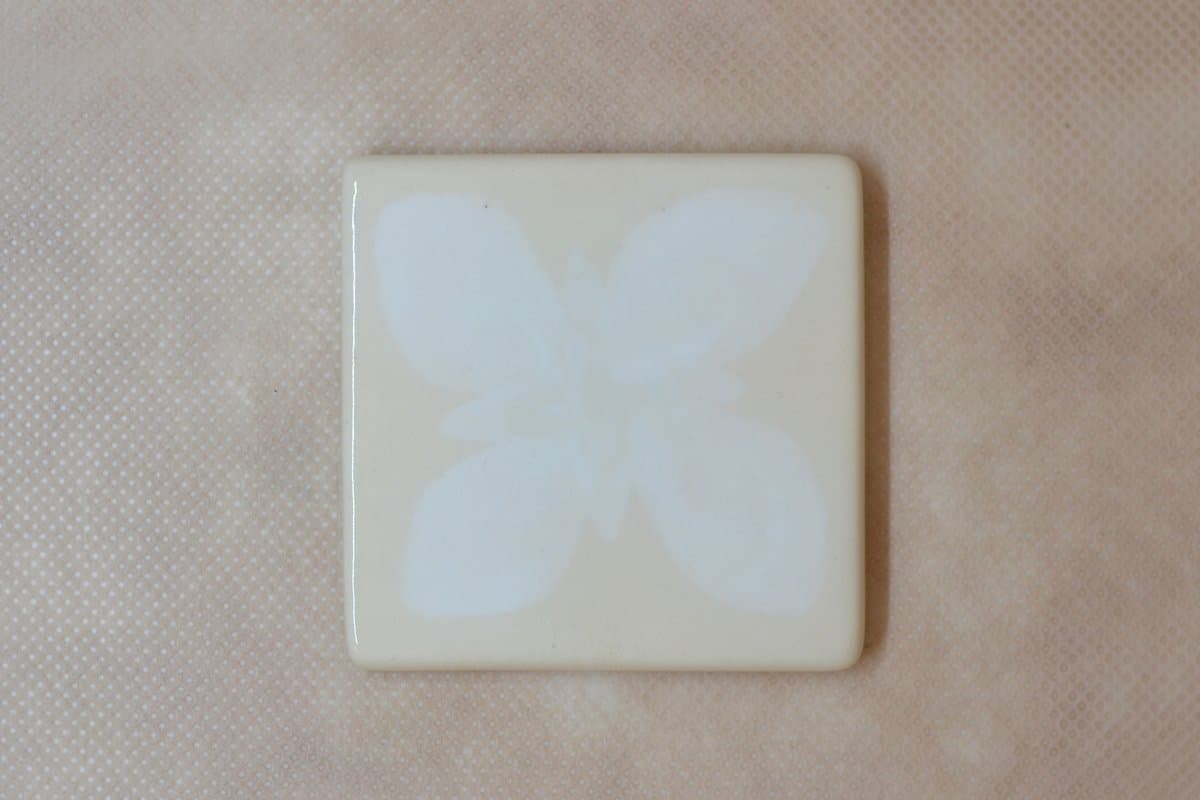 PP BL-01 - 15cc - Imagen 1