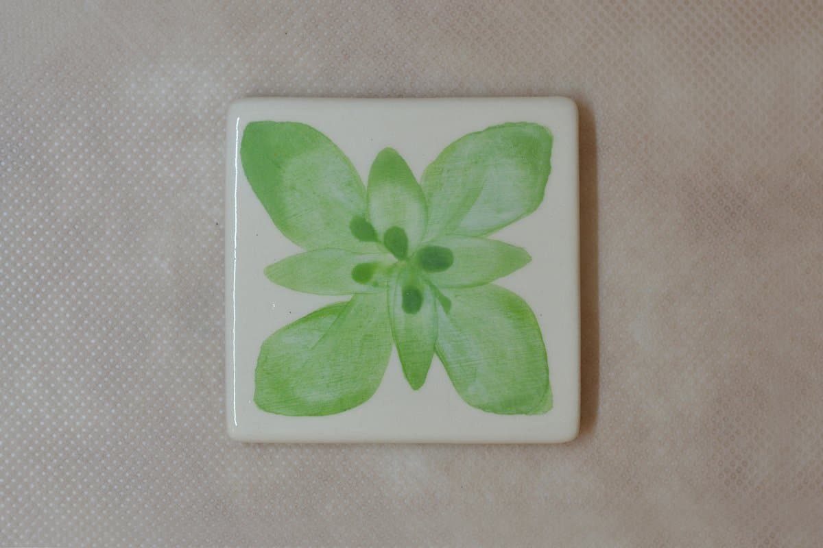 BE - VR - 43 - Imagen 1