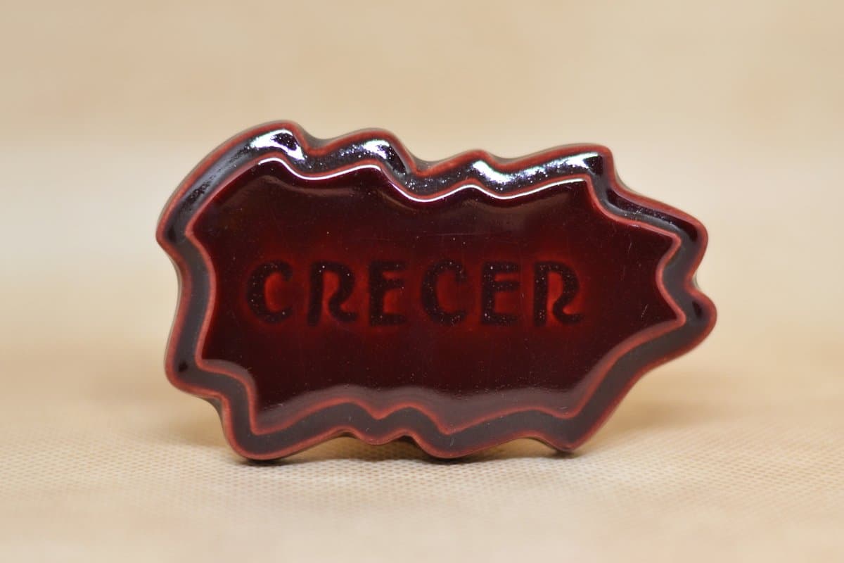 454 (RB-313) - Imagen 1