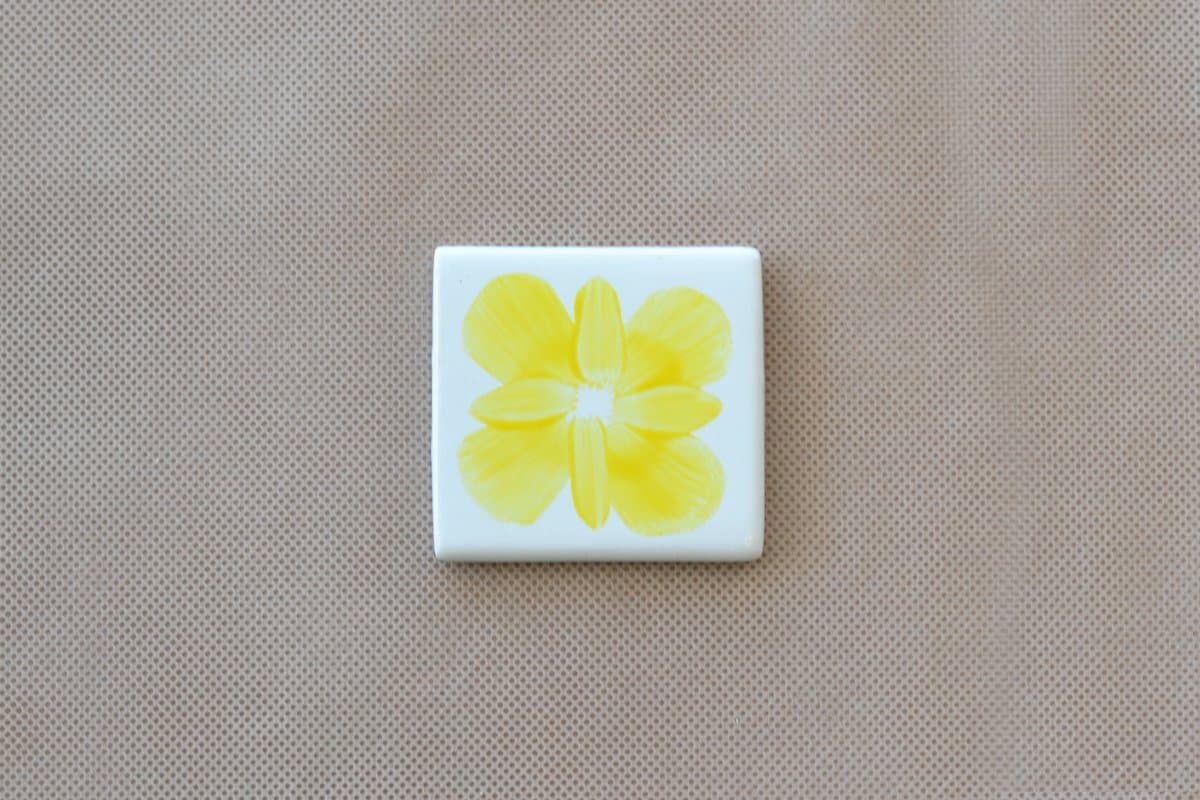 SC - 51 - B - Imagen 1