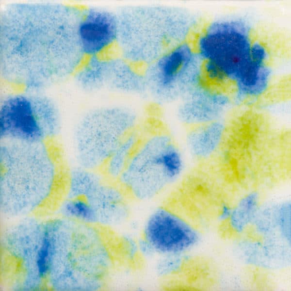 CG1001P - Gogh Iris - Pint - Imagen 1