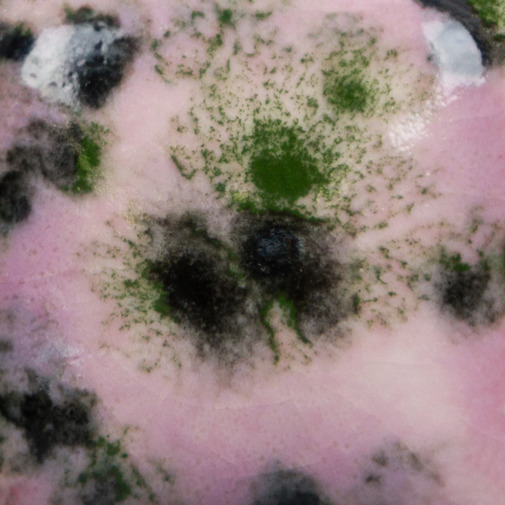 CG1005P - Maroon Lagoon - Pint - Imagen 2