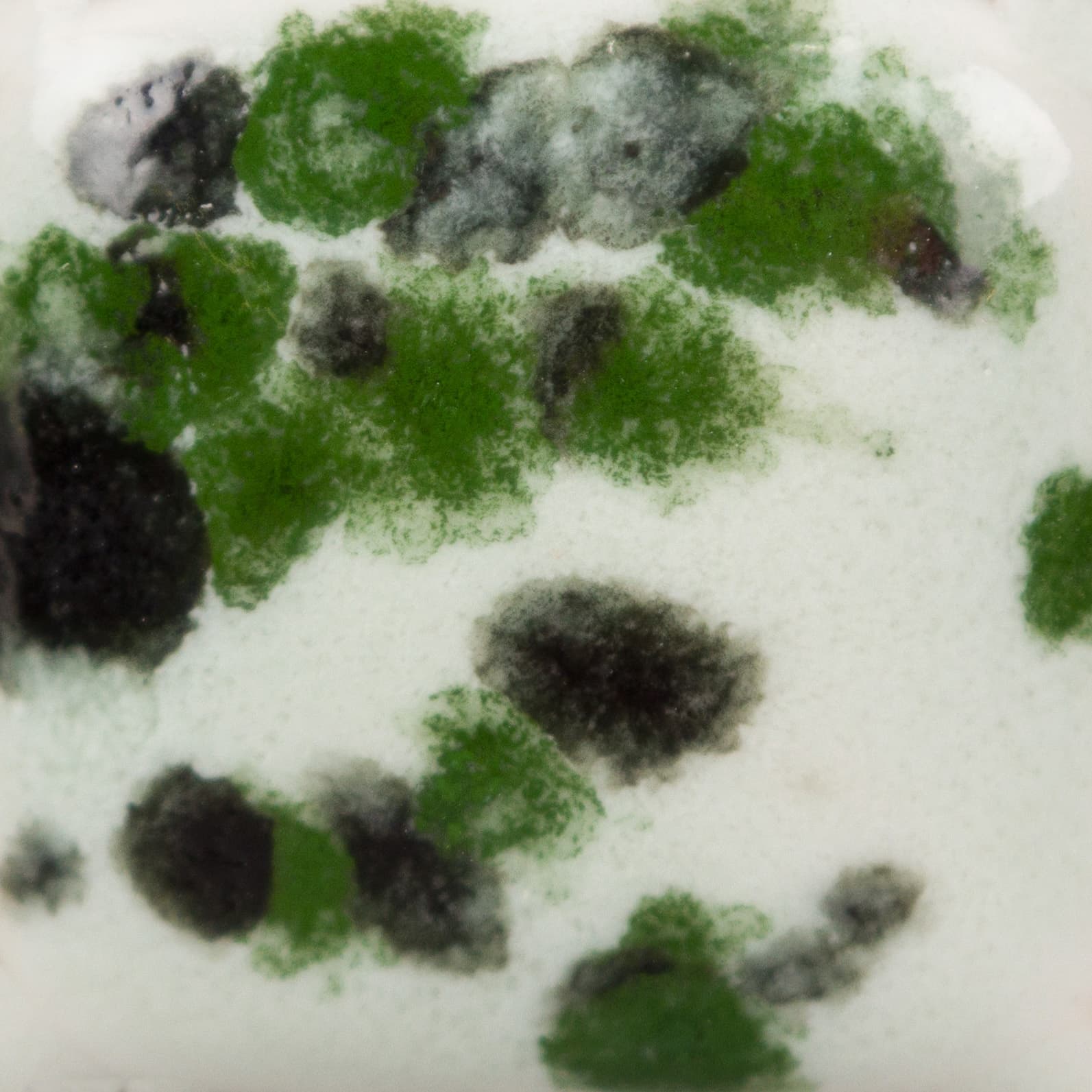 CG1005P - Maroon Lagoon - Pint - Imagen 3