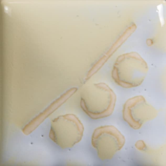 EL101P - Oyster Shell - Pint - Imagen 2