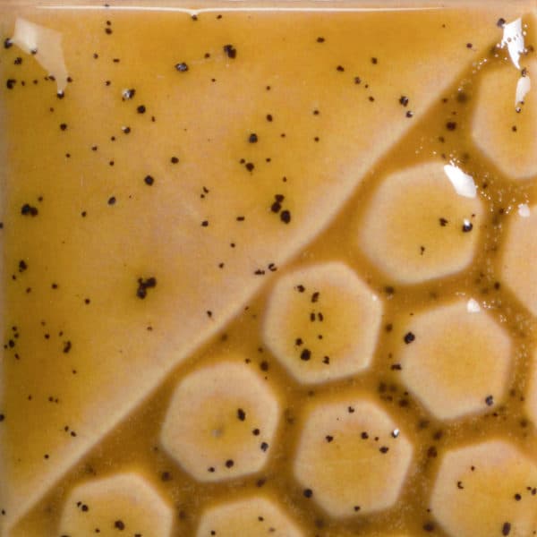 EL1074 - Amber Ash - 4 oz - Imagen 1