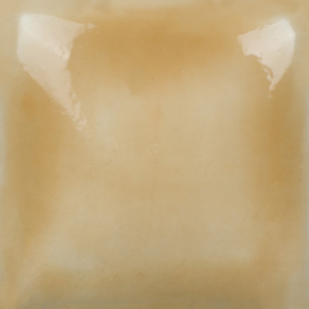 FN205P - Saddle Tan - Pint - Imagen 3