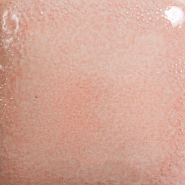 FN230P - Poppy - Pint - Imagen 2