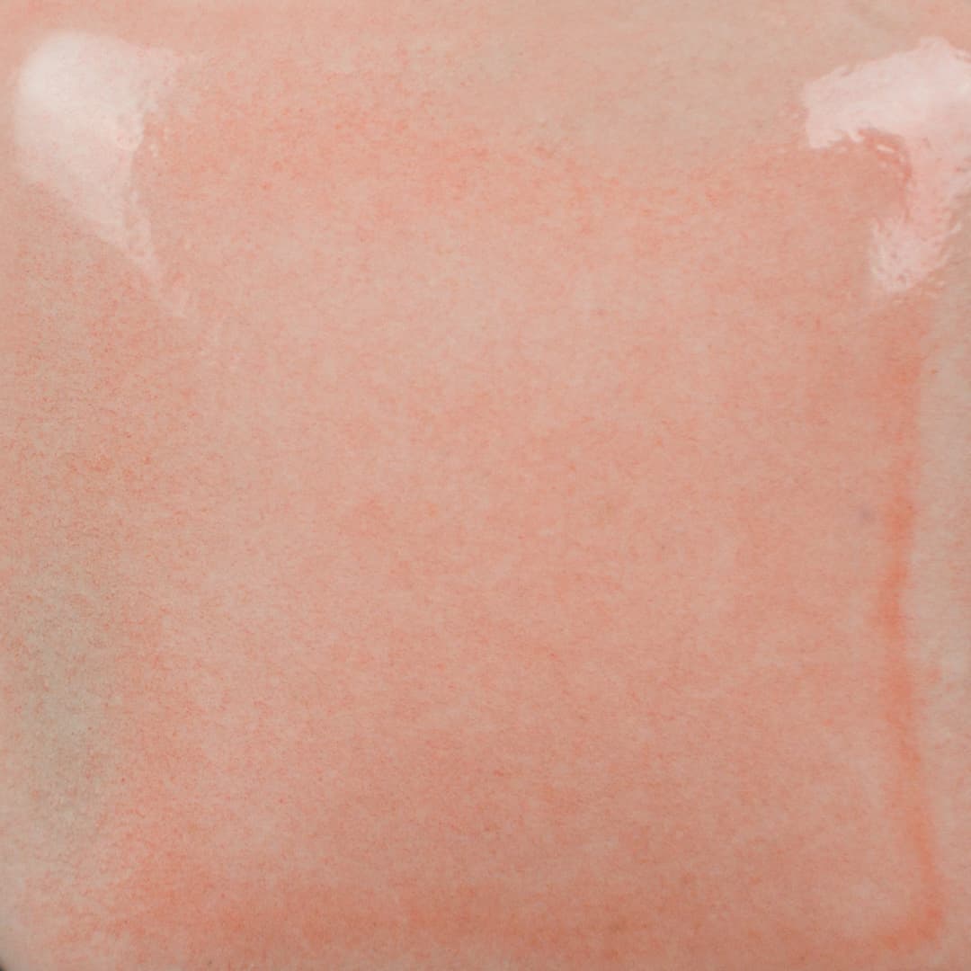 FN230P - Poppy - Pint - Imagen 3