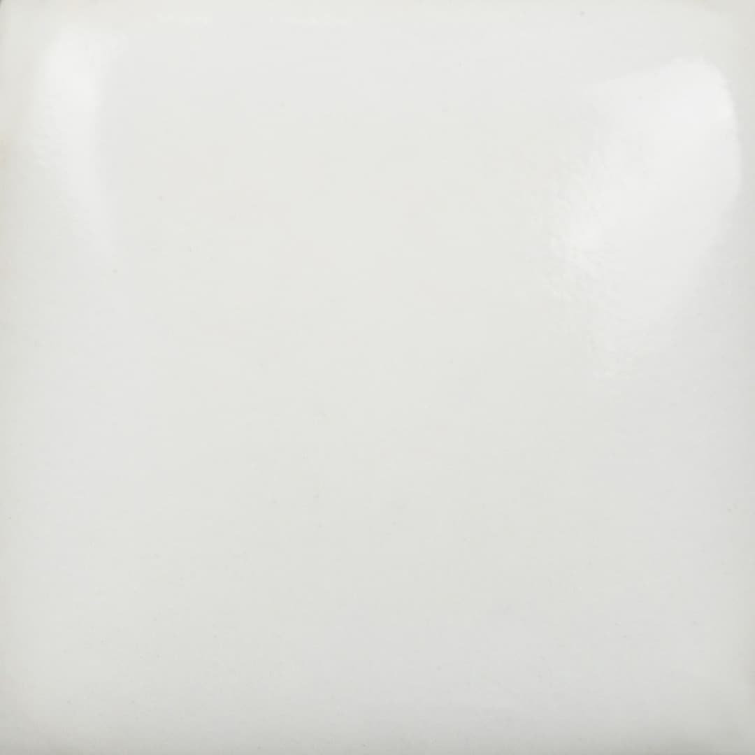 FN301P - Marshmallow White - Pint - Imagen 3