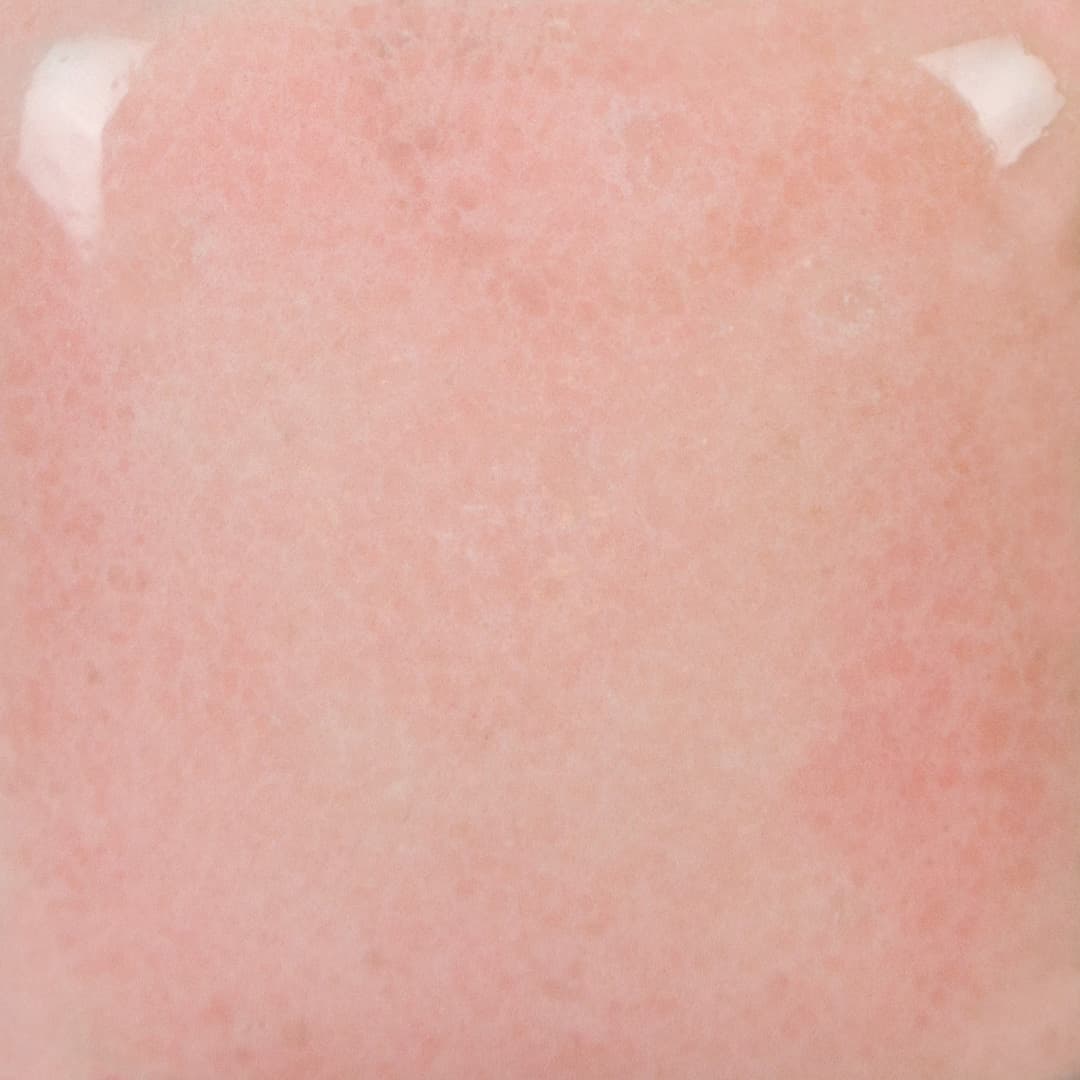 SP201P - Speckled Pink-A-Boo - Pint - Imagen 3