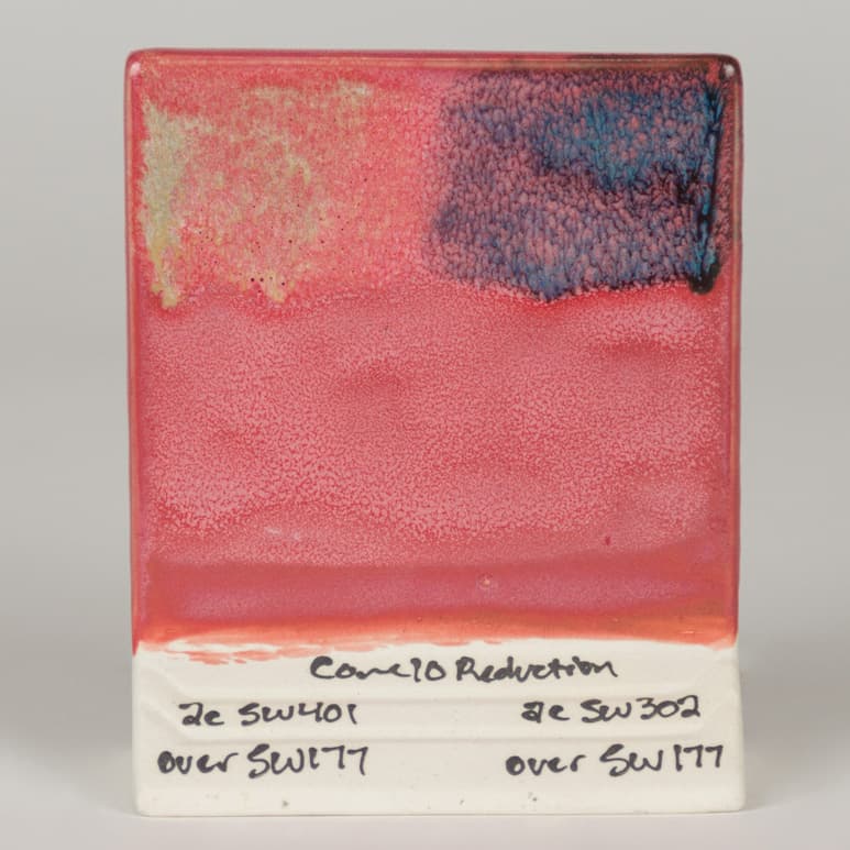 SW177P - Raspberry Mist - Pint - Imagen 11