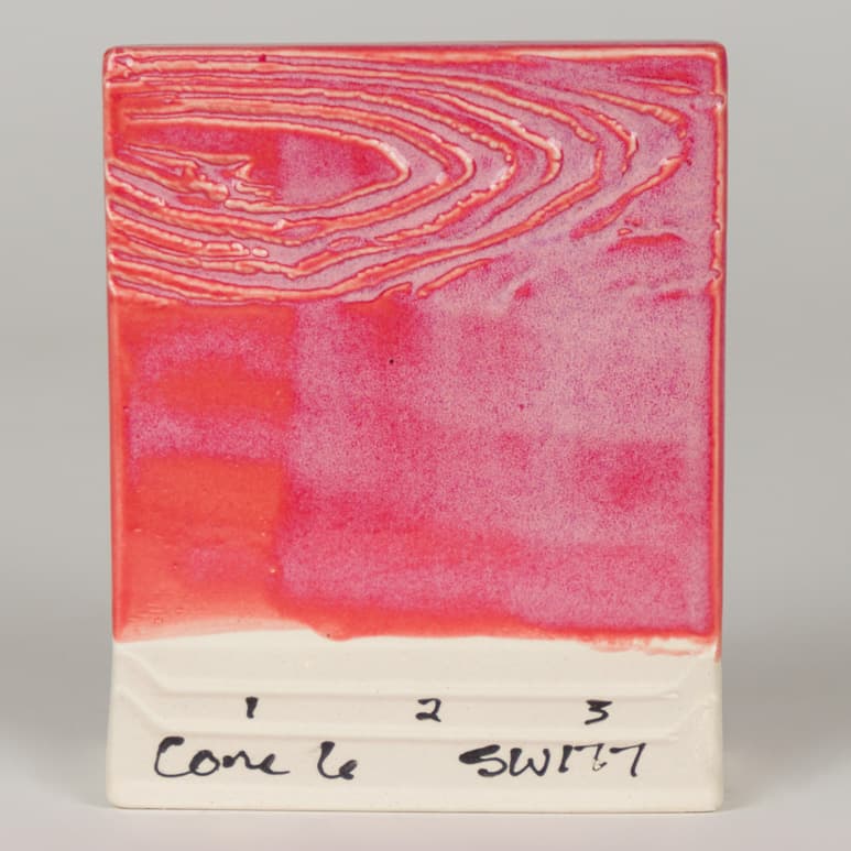 SW177P - Raspberry Mist - Pint - Imagen 7