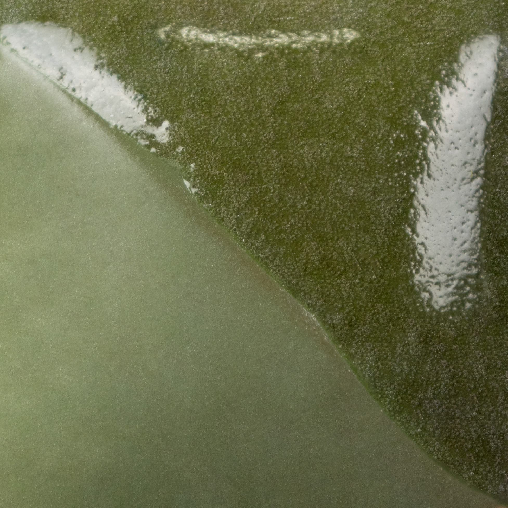 UG0212 - Leaf Green - 2 oz - Imagen 3