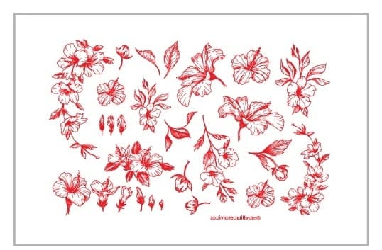Hibiscus Rojo - PTHIR1 - Imagen 1
