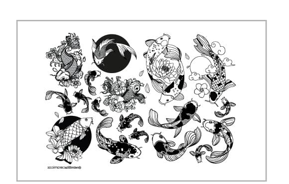 Peces Koi Negro - PTPKN1 - Imagen 1