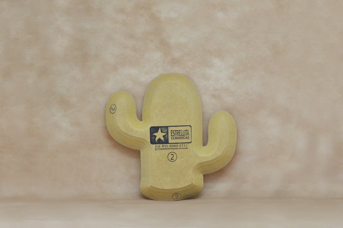 Cactus 2 - Imagen 1